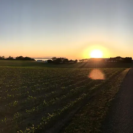 Apartmán Sct Knudsborg - 12d - On The *