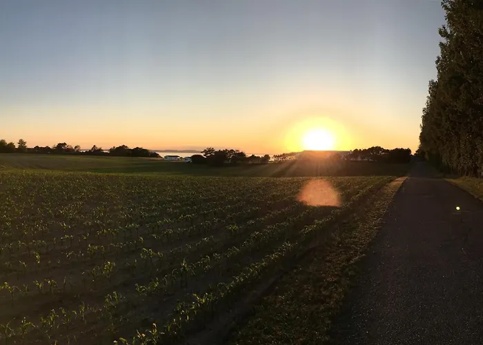 Apartamento On The *